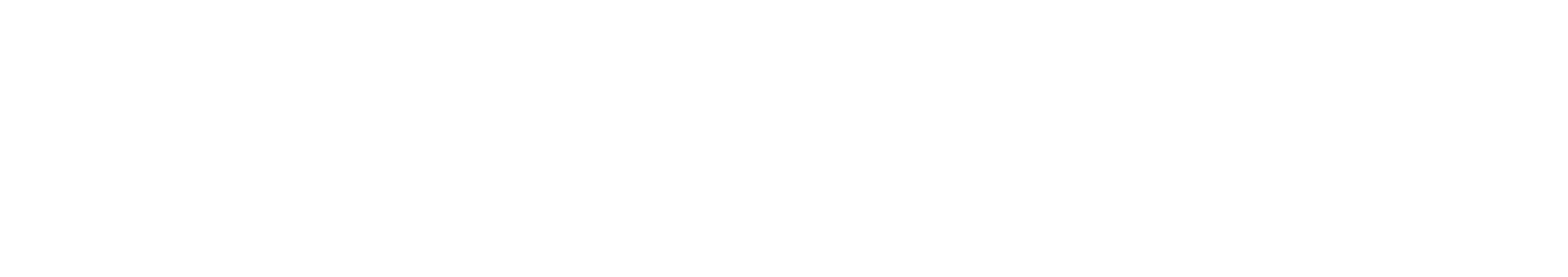 Logo til salonen